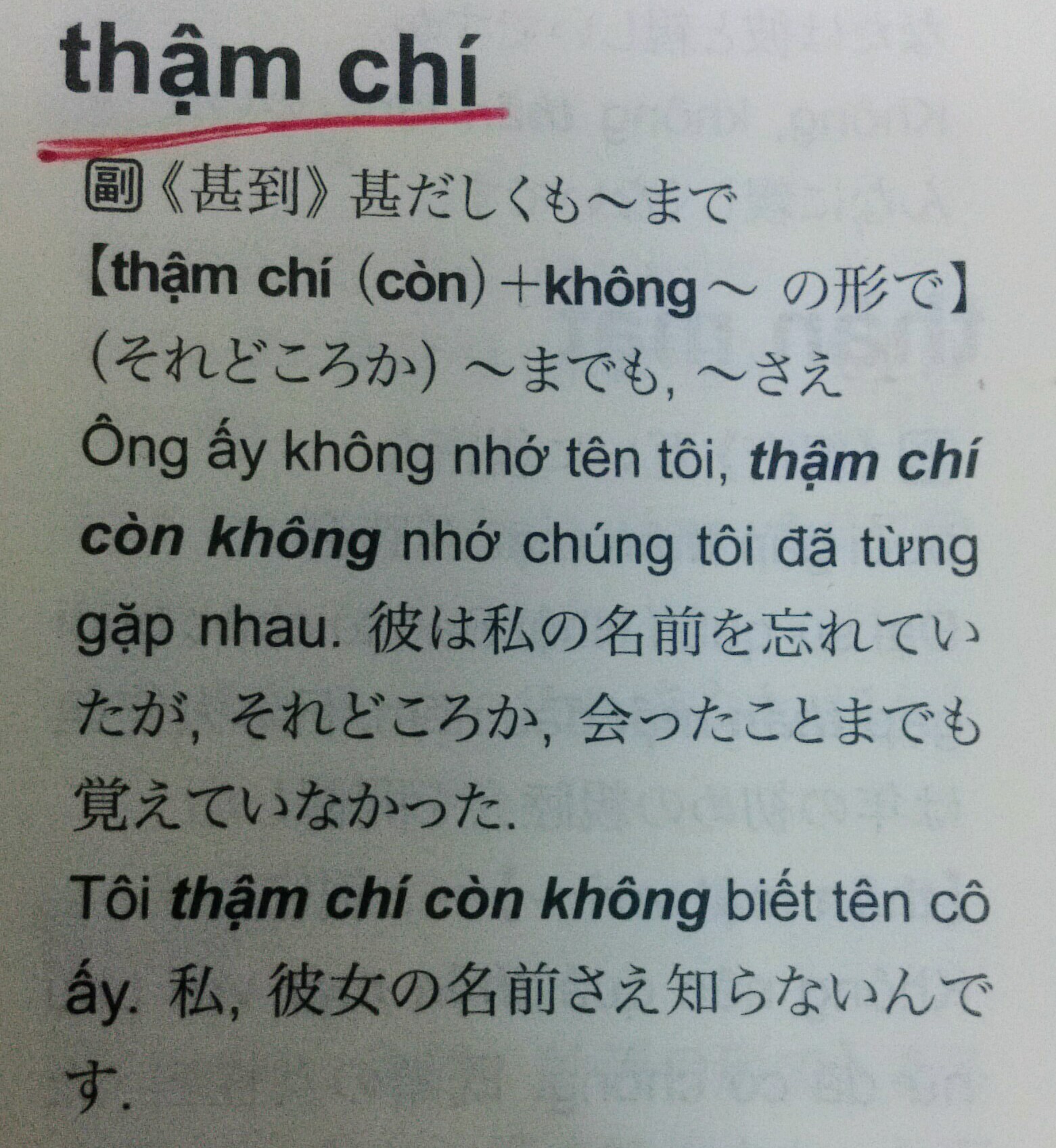 Vol 164 Thậm Chiの役割 田畑トマトのベトナム語ボックス